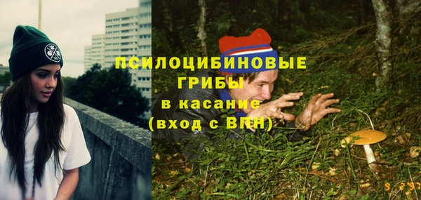 PSILOCYBIN Абаза