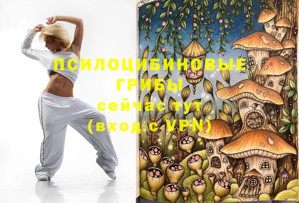 бошки Абинск