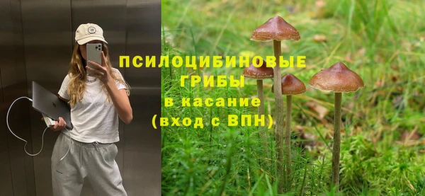 бошки Абинск
