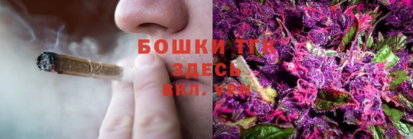 PSILOCYBIN Абаза