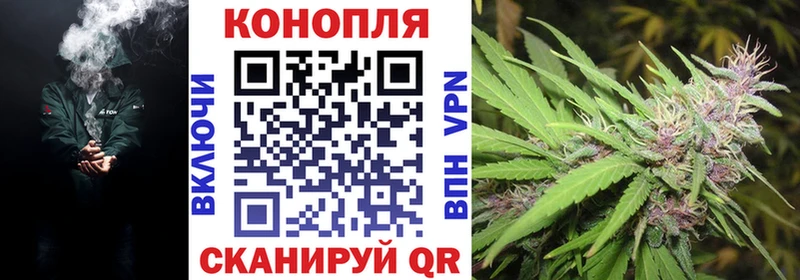 продажа наркотиков  Новая Усмань  Бошки Шишки MAZAR 